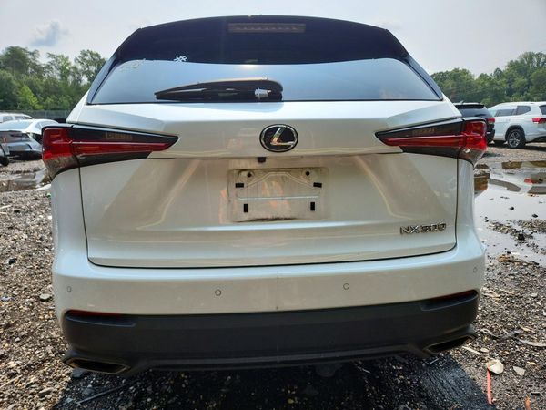 2019 LEXUS NX 300 300 Luxury