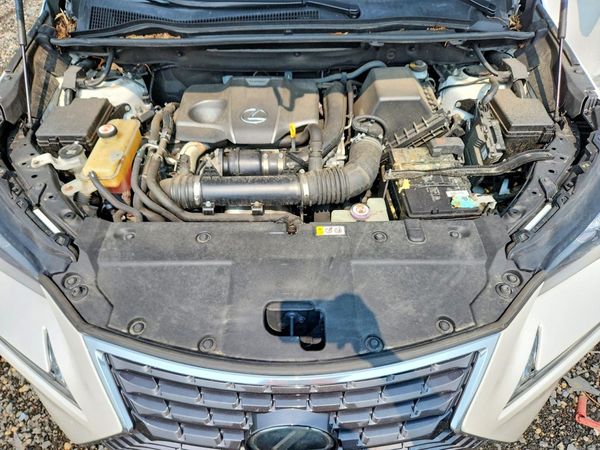 2019 LEXUS NX 300 300 Luxury