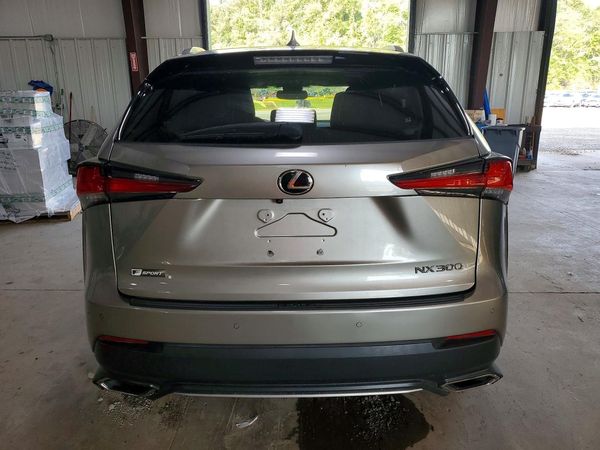 2019 LEXUS NX 300 300 Luxury — DIRR