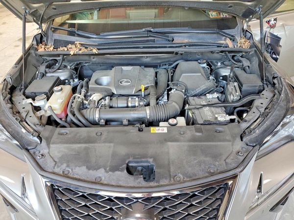 2019 LEXUS NX 300 300 Luxury — Engine bay
