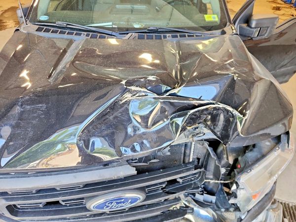 2021 FORD F150