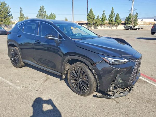 2022 LEXUS NX 350 Luxury