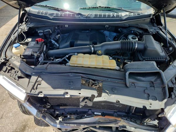 2019 FORD F150