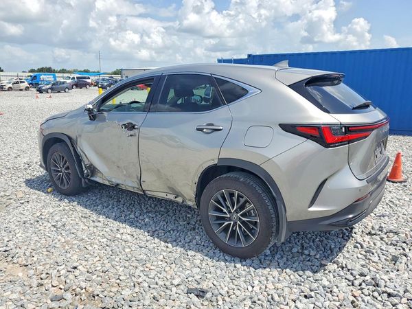 2025 LEXUS NX 250 350 Base