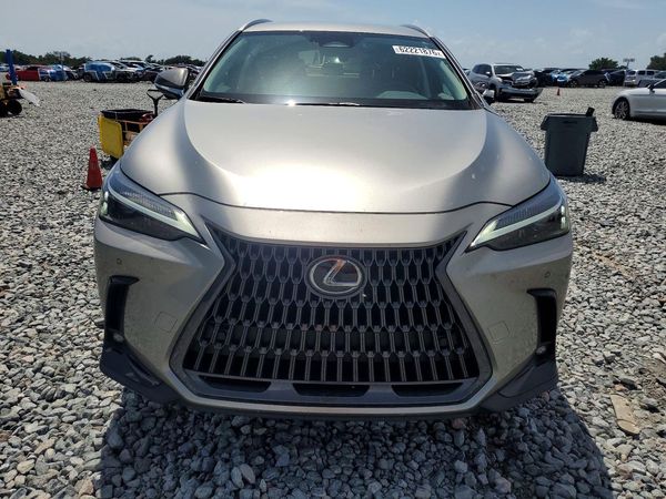 2025 LEXUS NX 250 350 Base