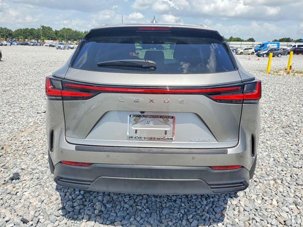 2025 LEXUS NX 250 350 Base