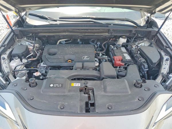 2025 LEXUS NX 250 350 Base