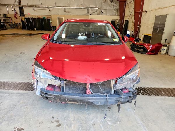 2019 TOYOTA COROLLA L/LE/SE/XLE/XSE