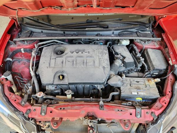 2019 TOYOTA COROLLA L/LE/SE/XLE/XSE