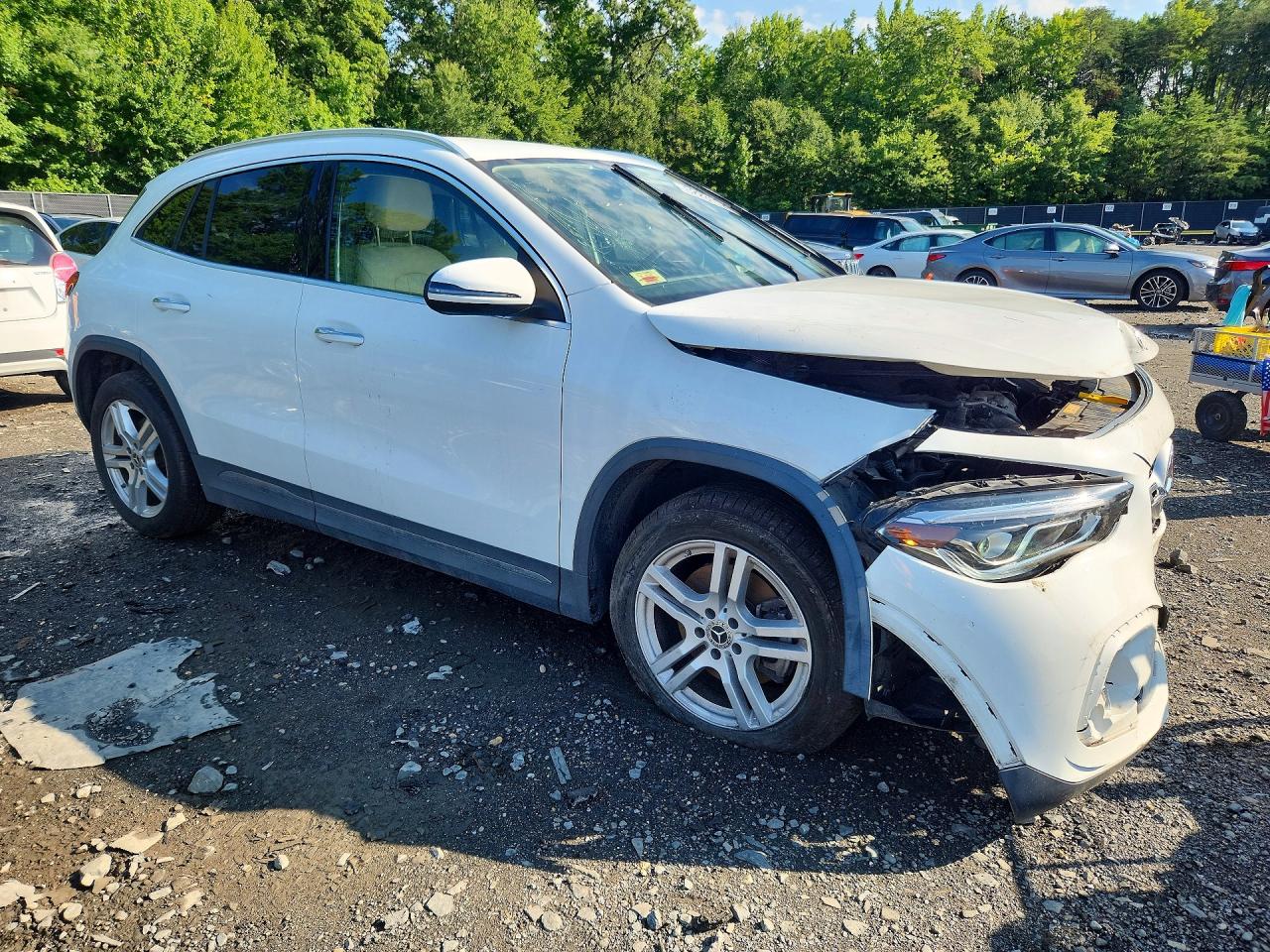 2021 MERCEDES-BENZ GLA GLA250-4M