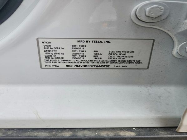 2026 TESLA MODEL Y