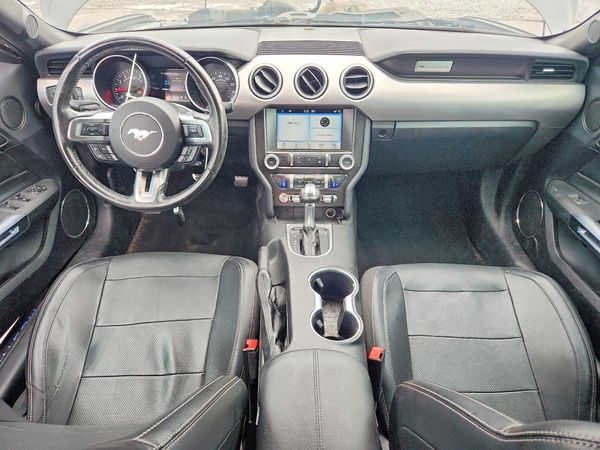 2019 FORD MUSTANG I4 Convertible