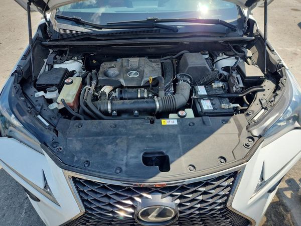 2019 LEXUS NX 300 300 Luxury