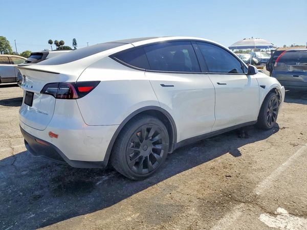 2020 TESLA MODEL Y