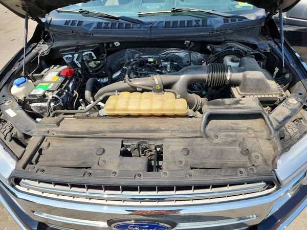 2019 FORD F150
