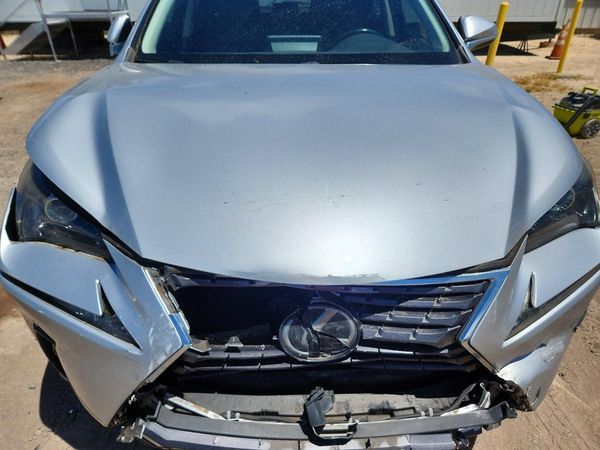 2019 LEXUS NX 300 300 Luxury