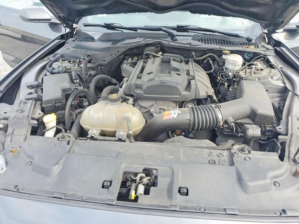 2019 FORD MUSTANG