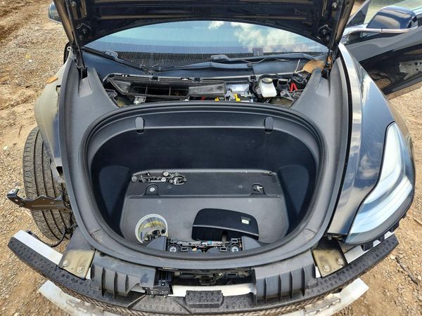 2019 TESLA MODEL 3