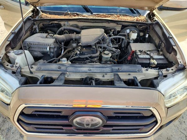 2019 TOYOTA TACOMA SR5