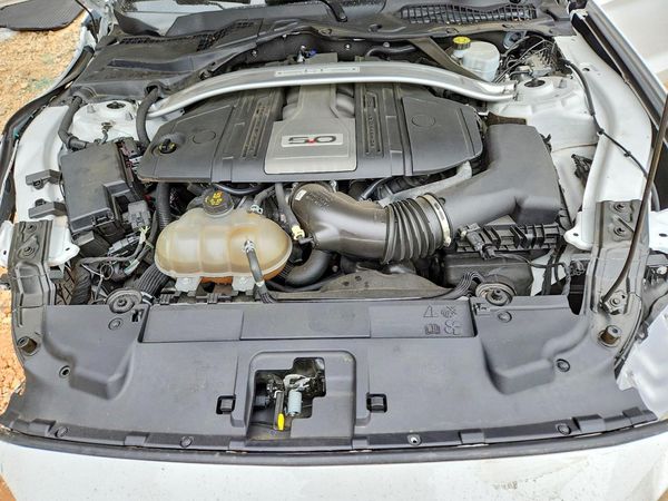 2019 FORD MUSTANG GT Coupe