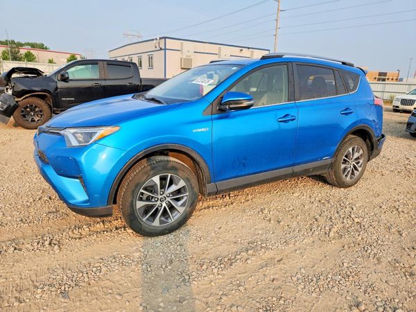 2018 TOYOTA RAV4 LE Plus/XLE