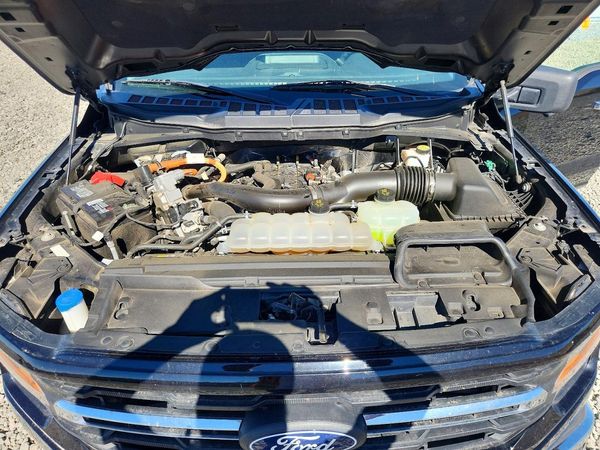 2024 FORD F150