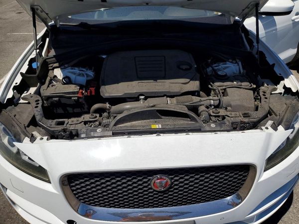 2019 JAGUAR F-PACE Prestige