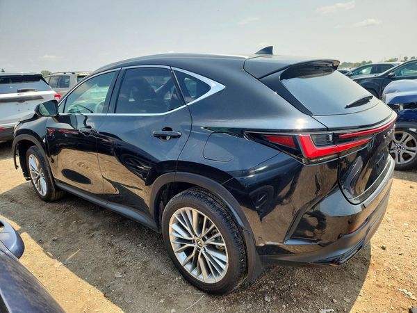 2025 LEXUS NX 350H 350h Luxury