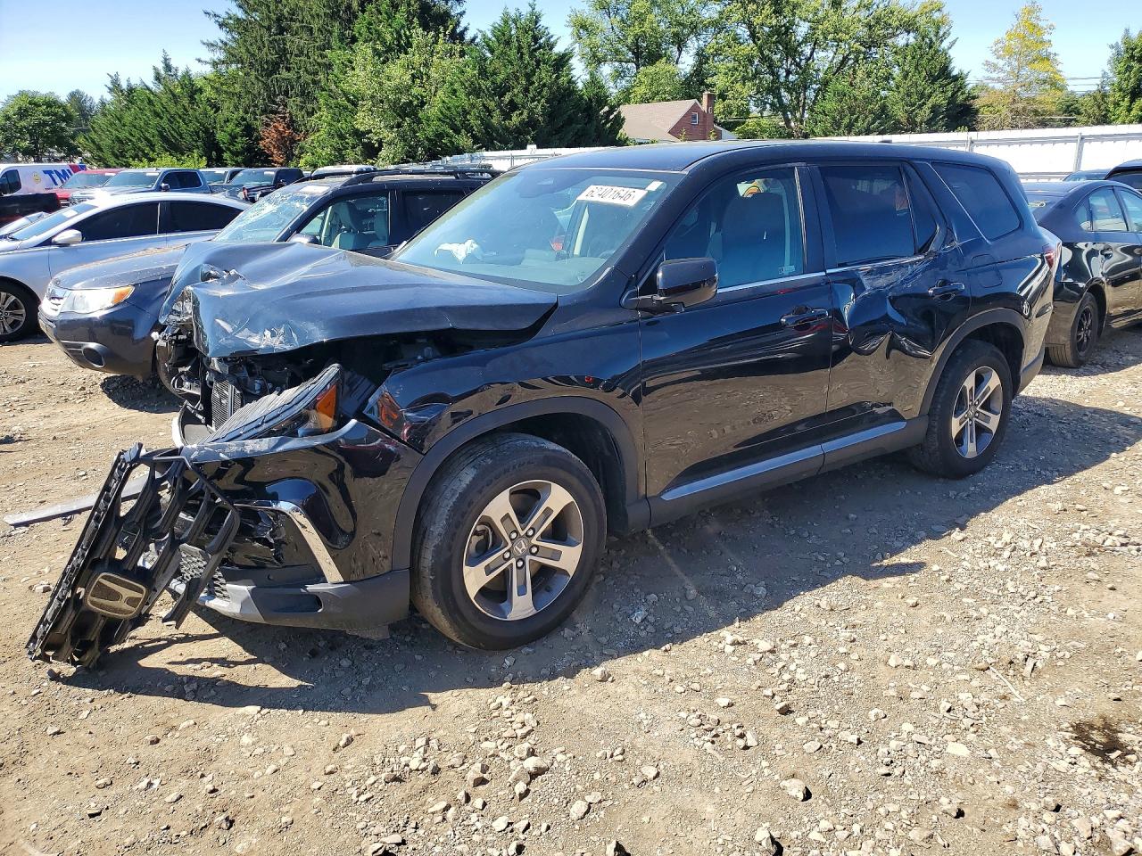 2024 HONDA PILOT EX-L