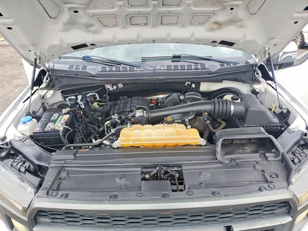2019 FORD F150