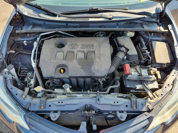 2014 TOYOTA COROLLA ECO/ECO PLUS