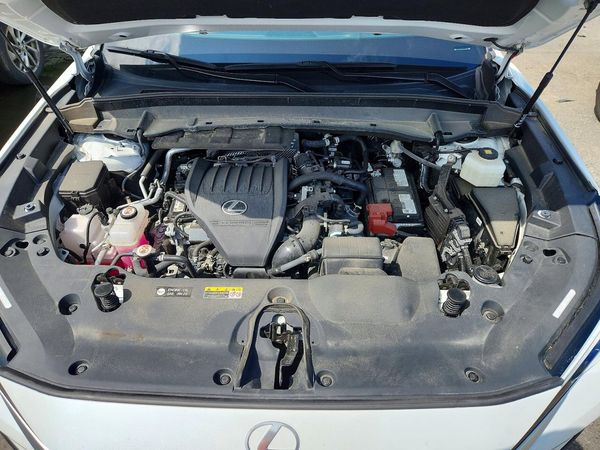 2024 LEXUS TX 350