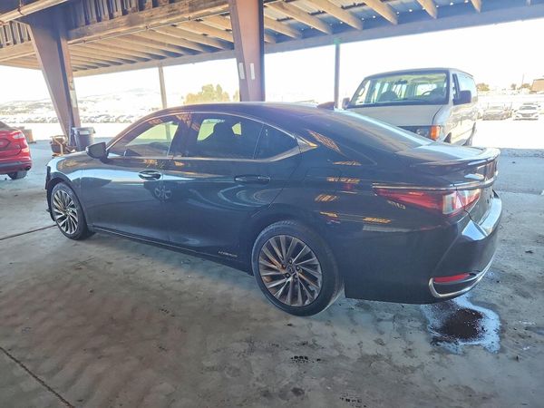 2019 LEXUS ES 300h