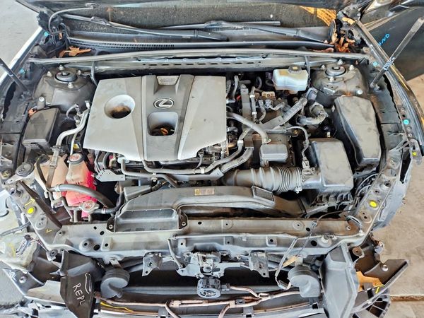 2019 LEXUS ES 300h