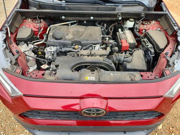 2019 TOYOTA RAV4