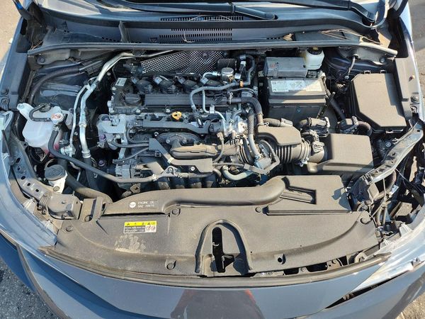 2023 TOYOTA COROLLA