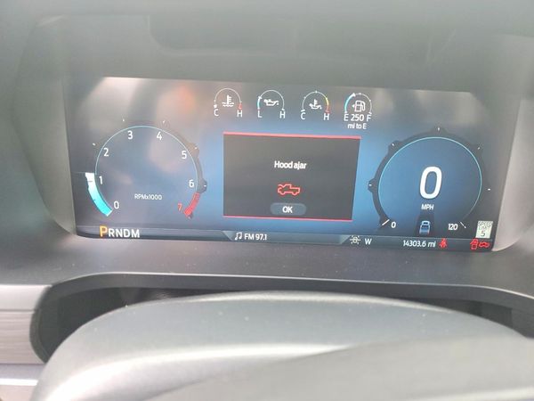 2025 FORD F150 XLT