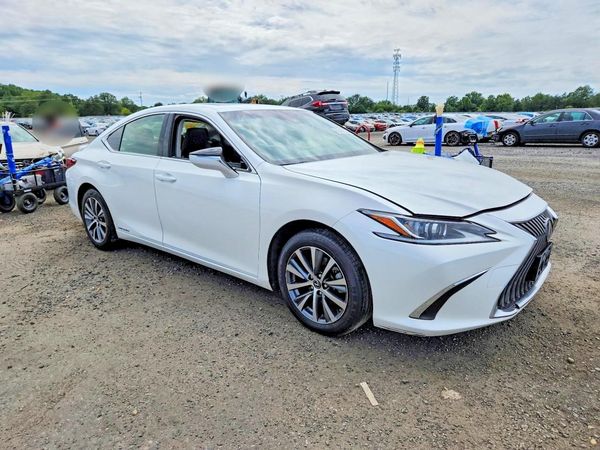 2019 LEXUS ES