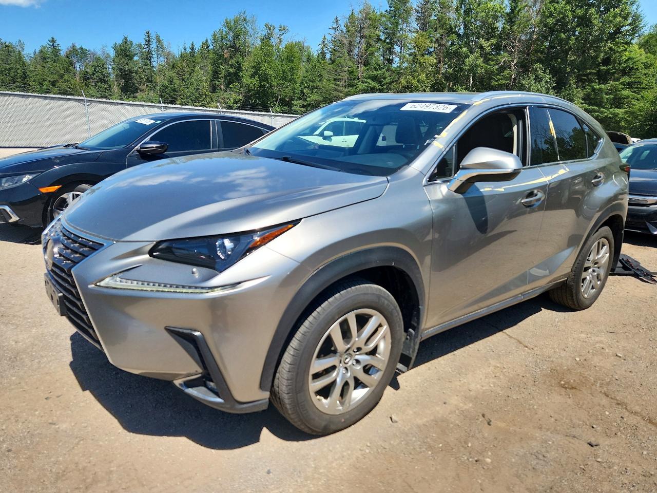 2019 LEXUS NX 300 300 Luxury