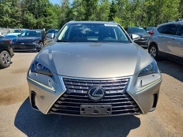 2019 LEXUS NX 300 300 Luxury