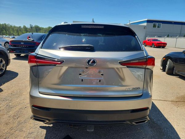2019 LEXUS NX 300 300 Luxury