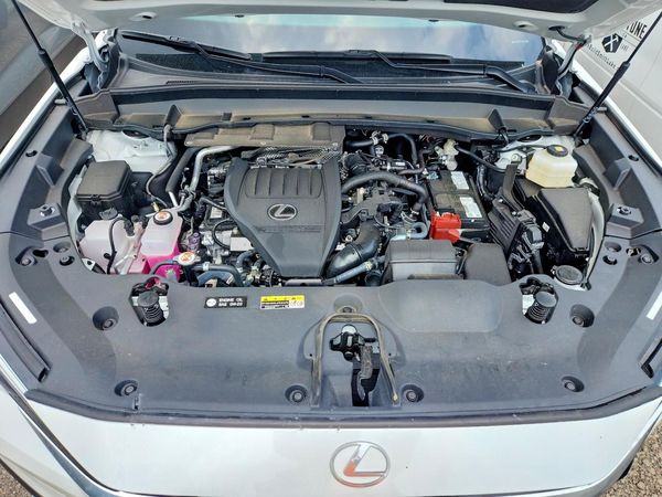 2025 LEXUS TX 350
