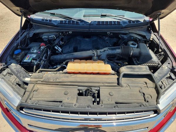 2019 FORD F150