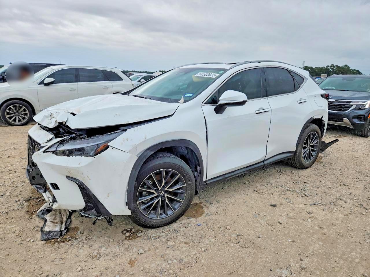 2026 LEXUS NX