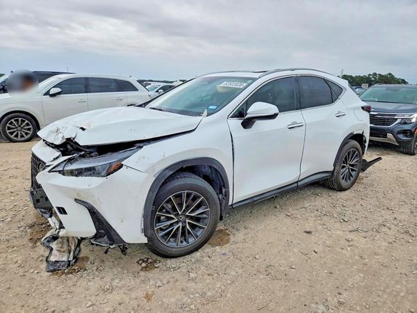 2026 LEXUS NX