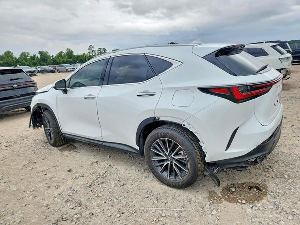 2026 LEXUS NX