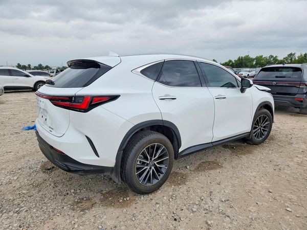 2026 LEXUS NX