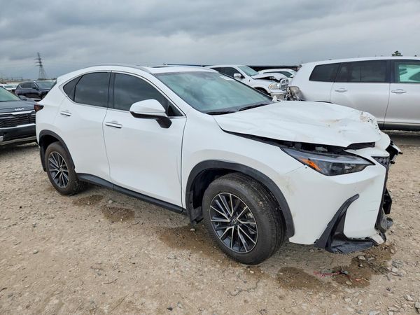2026 LEXUS NX