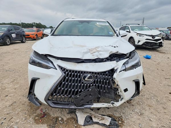 2026 LEXUS NX