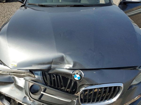 2015 BMW 228 228i xDrive